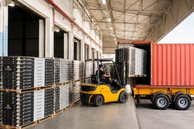 Direct Factory Supply
